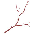 © incomible - Illustration of stylized bare branch without leaves. Decorative plant.