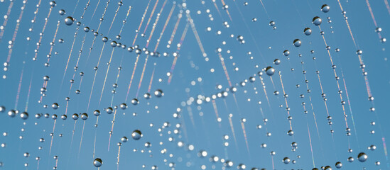Dew drops on spider mesh, net - macro photography