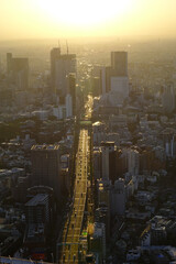 Wall Mural - Ariel view of Tokyo cityscape in sunset