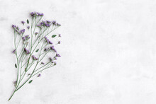 Flowers Composition. Purple Flowers And Eucalyptus Leaves On Concrete Gray Background. Flat Lay, Top View