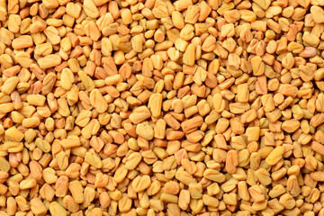 Wall Mural - food background of raw fenugreek seeds, top view