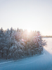 Poster - Snow covered trees during sunset.