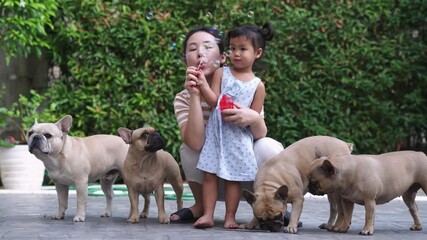 Wall Mural - A mom with bulldogs and her cute little girl blowing bubbles in the yard