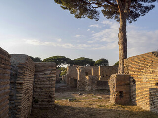 Wall Mural - old ancient ostia archeological ruins