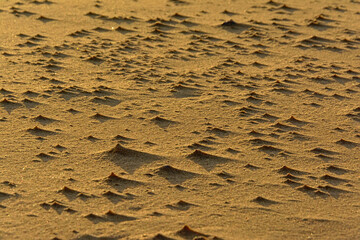 Wind traces in the sand with light and shadow f the low evening sun