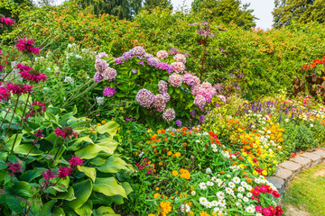 mix of garden flowers 2