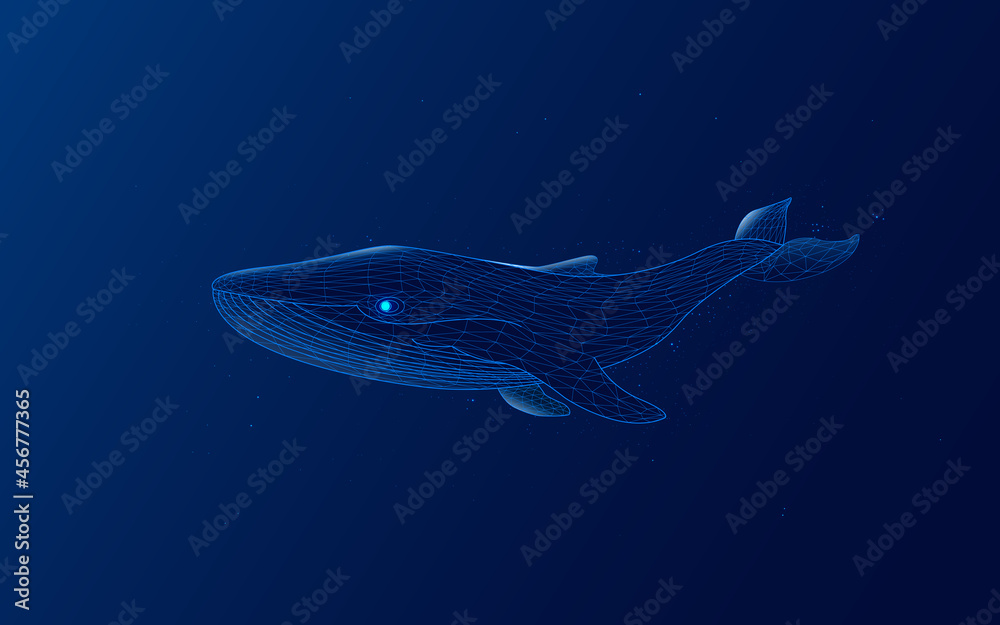 A blue whale made up of a polygon. Digital concept of sea animals. Big player in the market or exchange with huge capital. Money or cryptocurrency. wireframe. low poly. plexus. vector illustration.dot