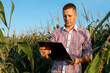 © Ruslan Ivantsov - young agronomist holds a paper chart in his hands and analyzes the corn crop