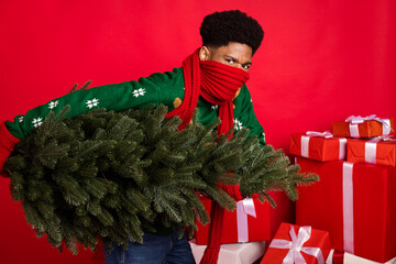 Wall Mural - Portrait of attractive funky mysterious guy secret Santa bringing tree giftboxes wintertime isolated over bright red color background