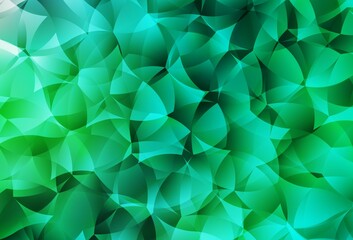 Wall Mural - light green vector low poly background.