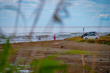 The Livorno Shore 4