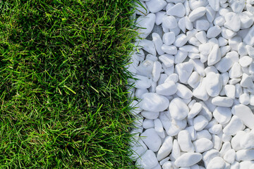 Wall Mural - Green grass and white pebble stones background. Copy space. 