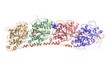 Human tubulin bound to vinblastine (blue), colchicine (red), GTP and GDP, 3D cartoon model, white background