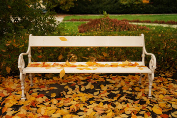 Wall Mural - White bench covered with yellow autumn leaves, autumn atmosphere concept