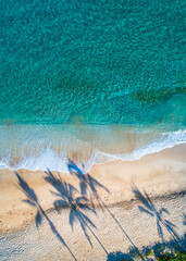 Wall Mural - aerial photo of beach with palm shadows