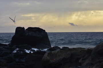 Wall Mural - the sea and its beauty