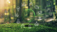 Earth Ecological Green Energy Icons Concept Moss In Forrest Background 3D Render