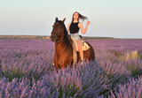 Fototapeta Sypialnia - a blonde model riding a horse in a lavender field