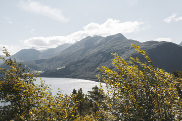 Wall Mural - Scenic shot of a clear blue lake surrounded by mountain forests