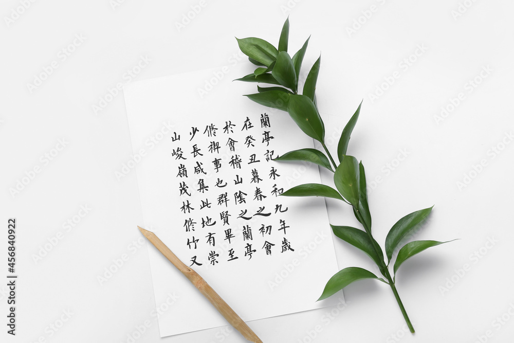 Paper with hieroglyphs, dip pen and plant branch on white background