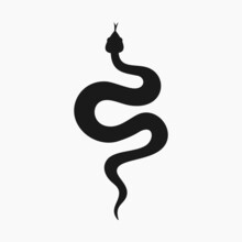 Snake Vector Template, Simple Snake Vector Illustration