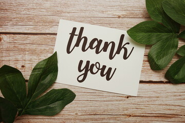 Sticker - Thank You typography text with green leave decorated on wooden background