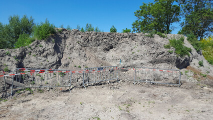 Colony of Sand Martins (Riparia riparia)