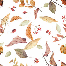 Watercolor Vector Seamless Pattern With Colorful Pumpkins And Leaves.