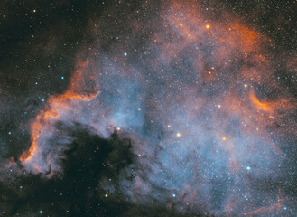 Wall Mural - Close up of NGC 7000 nebula, in the Cygnus constellation. Taken with my telescope. I used special narrowband filters.