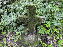 The Old Cemetery. A Small Abandoned Children's Grave A Hundred Years Old With A Stone Cross Covered With Moss