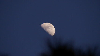 Poster - Beautiful view of a moon in the sky at night