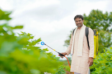 Wall Mural - indian farmer spraying pesticide at cotton field.