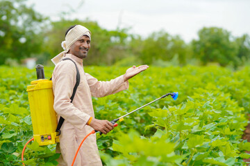 Wall Mural - indian farmer spraying pesticide at cotton field.