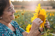 Cheerful Old Woman With Blooming Sunflower In Field