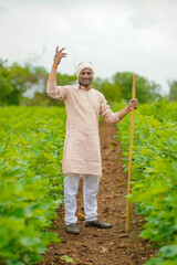 Wall Mural - Young indian farmer standing in cotton agriculture field.