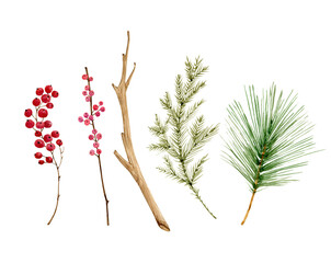 watercolor set with green branches of pine, spruce and red berries, hand painted for holidays design
