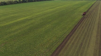 Aufkleber - Combine harvester harvests sugar beet on the field. Aerial view