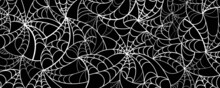 Spider Web Pattern, Halloween Background, Weird Background And Texture , Black And White Pattern, Seamless Pattern With Spider