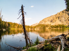 A Dead Pine Tree In Foreground Of A Nature Scene With Clouds Reflecting On A Lake In The Rockies.