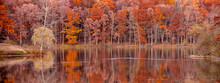 Panoramic View Of Bright Autumn Trees With Reflections In The Lake In Michigan Countryside