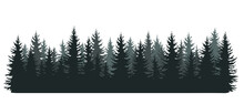 Fir Forest Silhouettes. Coniferous Spruce Trees Horizontal Background. Evergreen Plants Panorama. Isolated On White Vector Illustration In Hand Drawn Style 