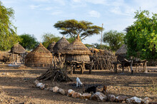Traditional Village Huts Of The Toposa Tribe, Eastern Equatoria