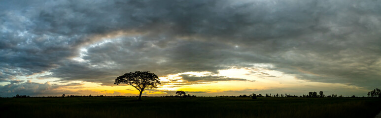 Wall Mural - sunset on a dark background, vivid orange and blue cloudy sky, dramatic sky over the field.