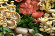 Selection of fresh mushrooms