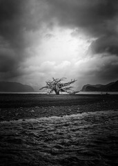 Wall Mural - storm over the sea