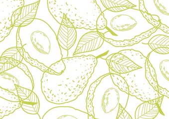 Avocado trendy background with. Fresh avocado hand draw seamless pattern with. Natural and healthy nutrition. Organic food. Good for product packaging, promo poster or flyer