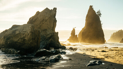 Wall Mural - beach at sunset