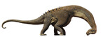 Fototapeta  - Alamosaurus, dinosaur from the Late Cretaceous period isolated on white background
