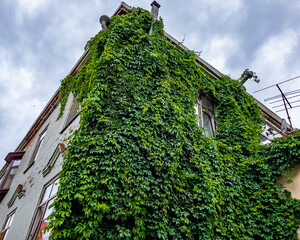 Vyborg, Russia, July 25, 2021. Fragment of a typical facade of a building of a historical architectural ensemble