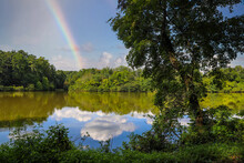 A Shot Of The Silky Brown Lake Water At Candler Lake Surrounded By Lush Green Trees And Plants Reflecting Off The Lake With Blue Sky, Clouds And A Rainbow At Lullwater Preserve In Decatur Georgia 